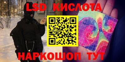 прущие крисы Сланцы