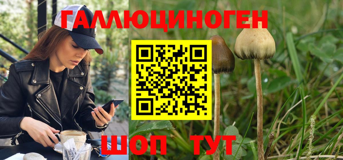 где можно купить   Вход с VPN  Обнинск  Псилоцибиновые грибы ЛСД  Галлюциногенные грибы Psilocybe 