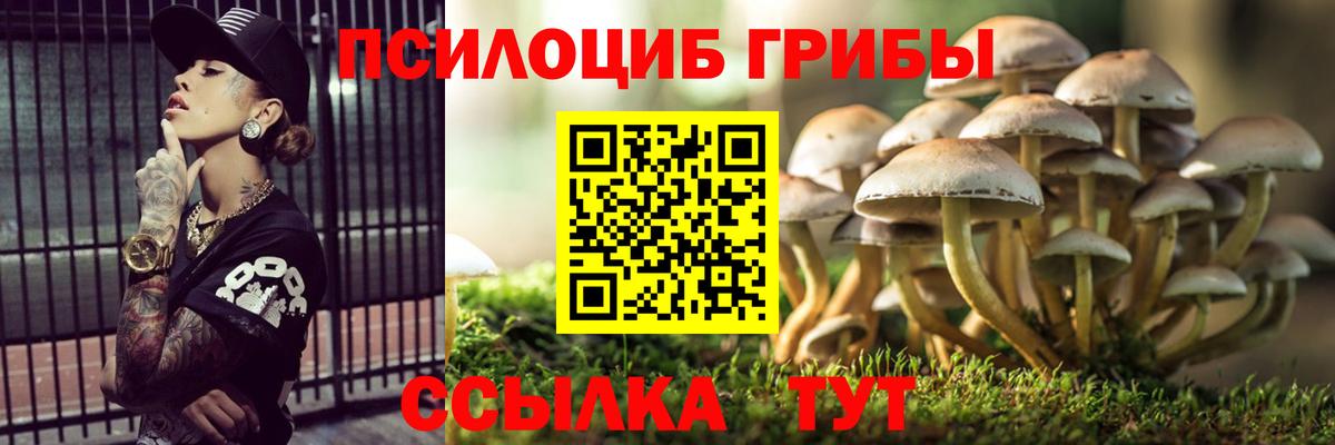 Псилоцибиновые грибы Psilocybe Обнинск